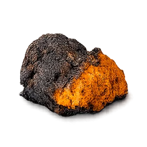 Nemanex — Chaga-Pilz